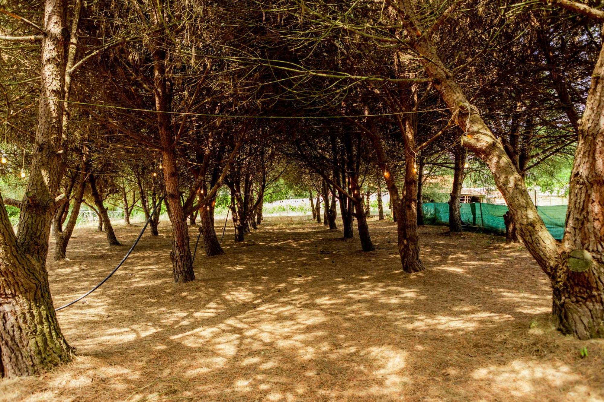 Quinta O Refugio Azambuja Exterior foto