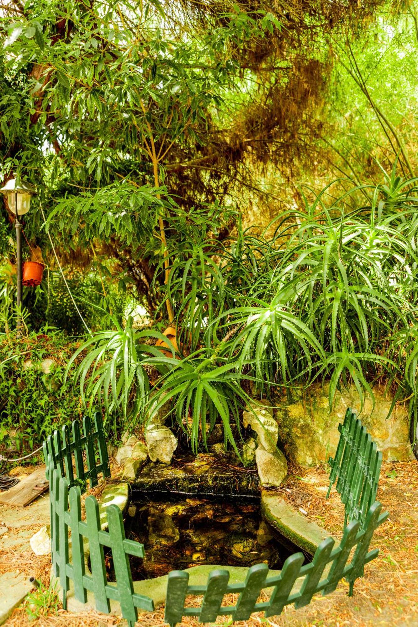 Quinta O Refugio Azambuja Exterior foto
